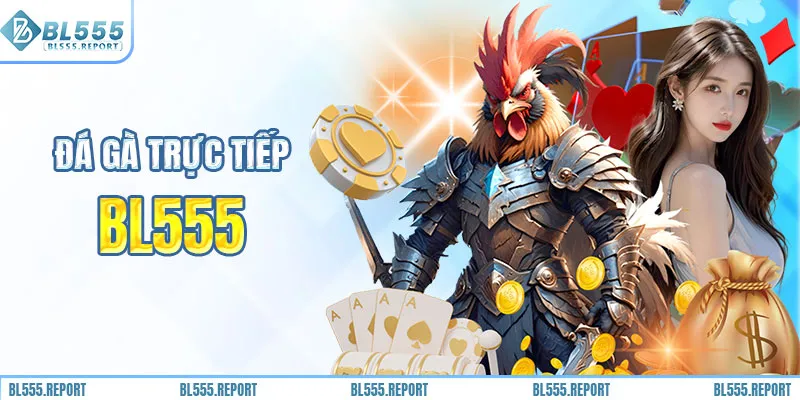Trải nghiệm đá gà hấp dẫn tại BL555